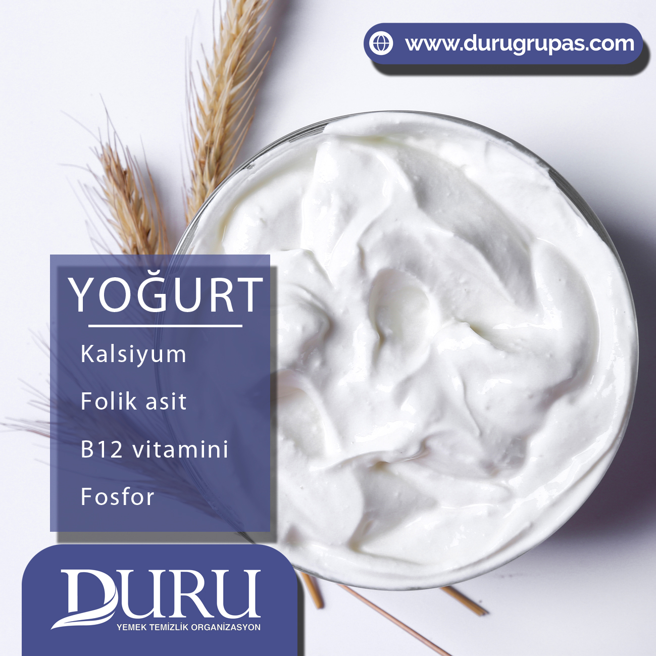 yoğurt