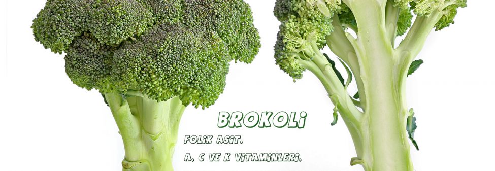 Brokoli
